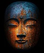 Insegnamenti del Buddha